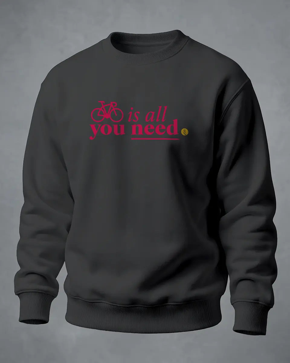 Sweatshirt Bike is all you need